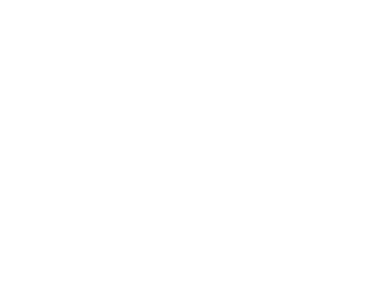 Stone Elegance
